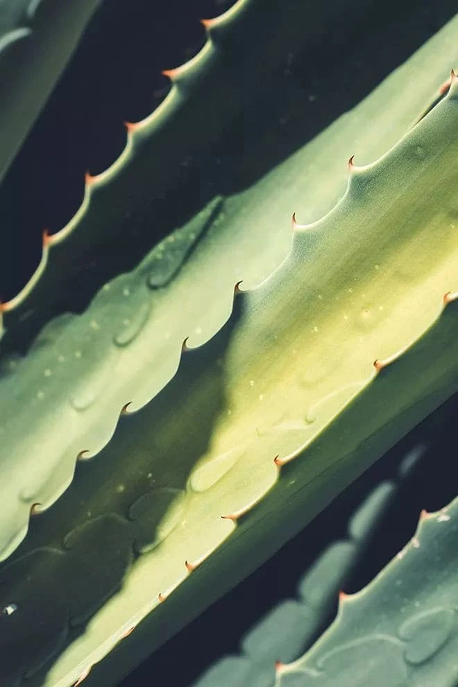 Medik8 Daily Refresh Balancing Toner - Image 6