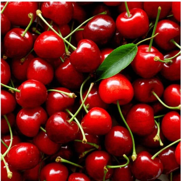 Cosmedix Rescue - Image 7